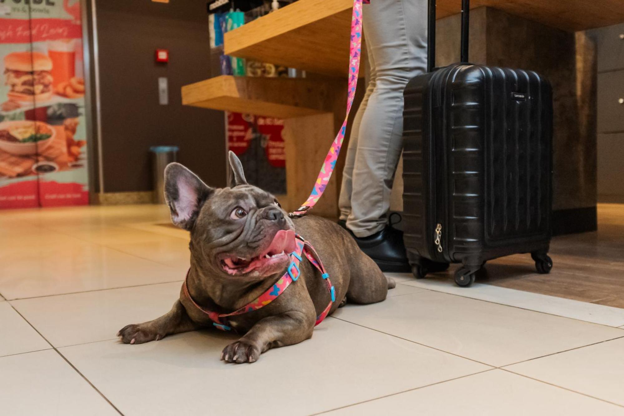 Ibis Moinhos De Vento 3* Porto Alegre